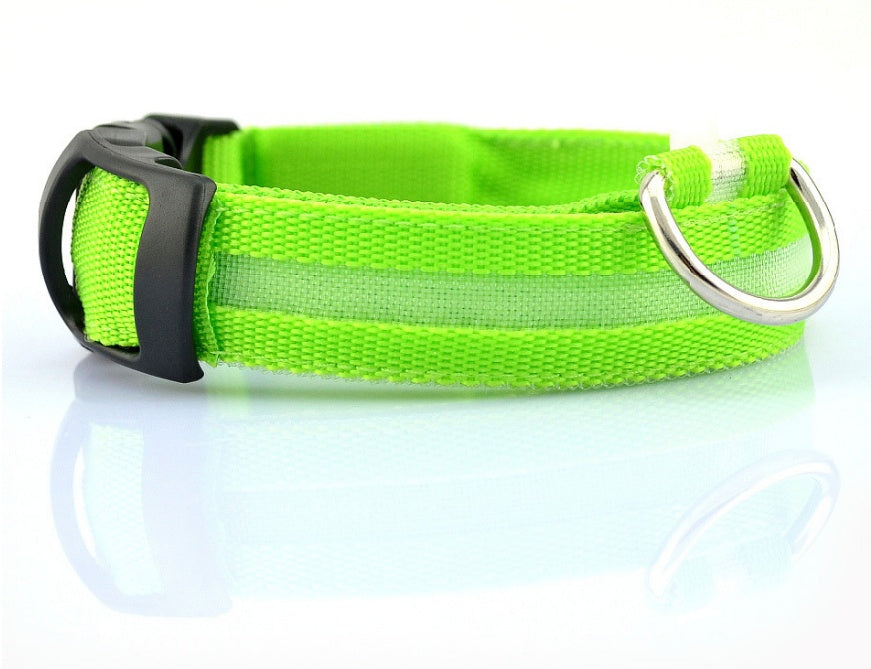 LED Hundehalsbånd