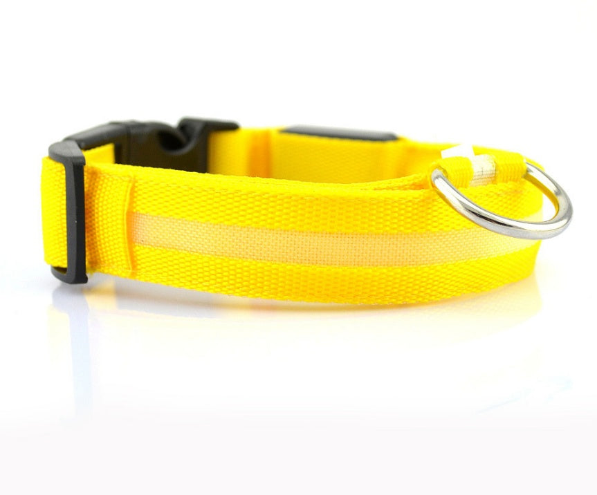 LED Hundehalsbånd