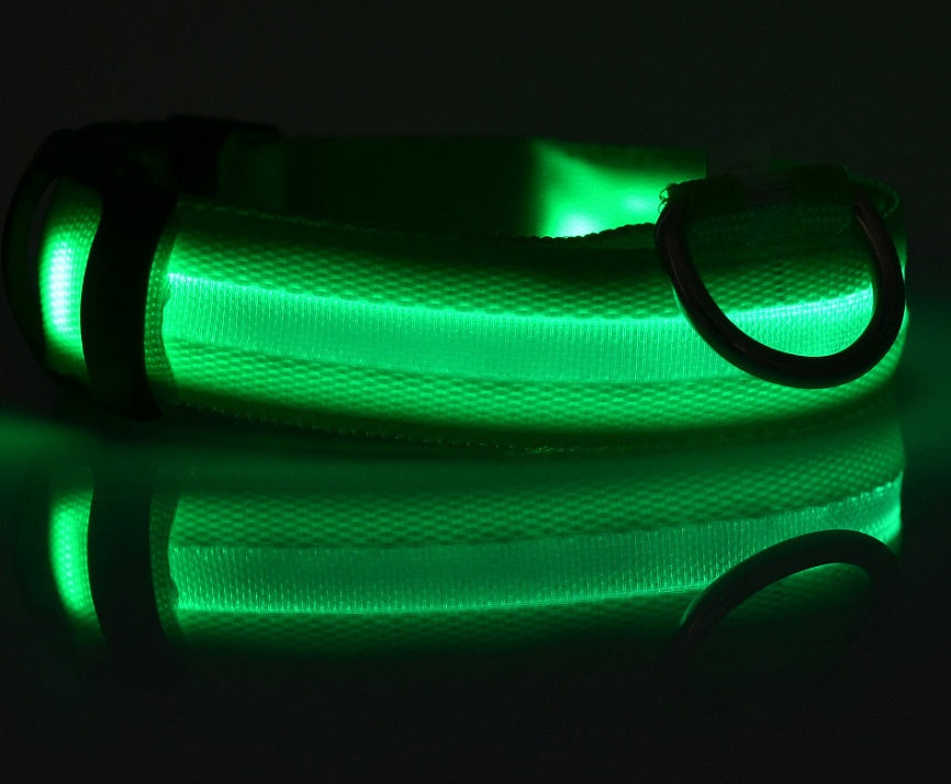 LED Hundehalsbånd