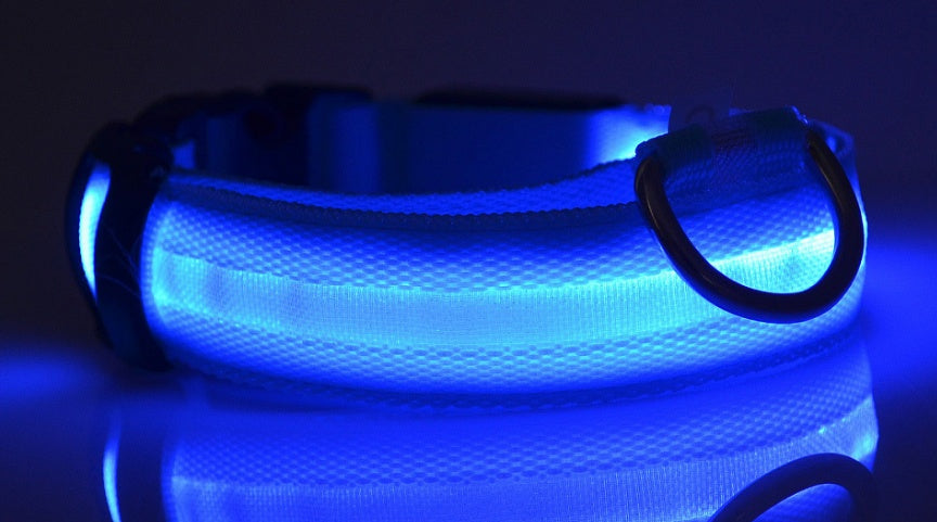 LED Hundehalsbånd